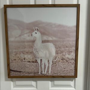 Framed Llama Art Print